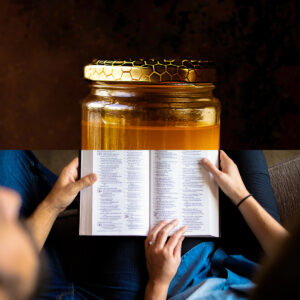 Die Bibel – Ein Genuss