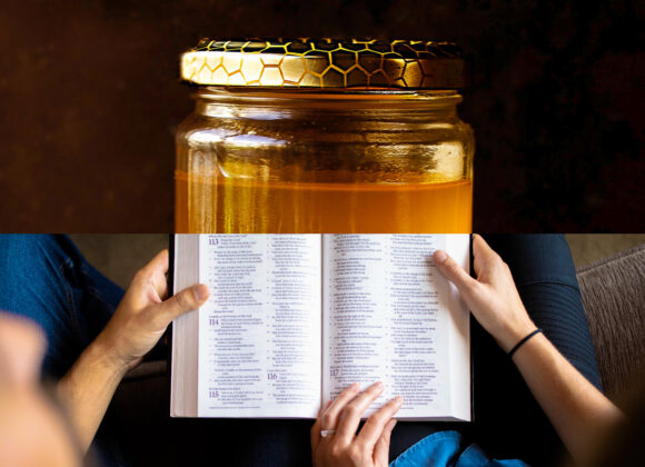 Die Bibel – Ein Genuss Die Bibel – Ein Genuss